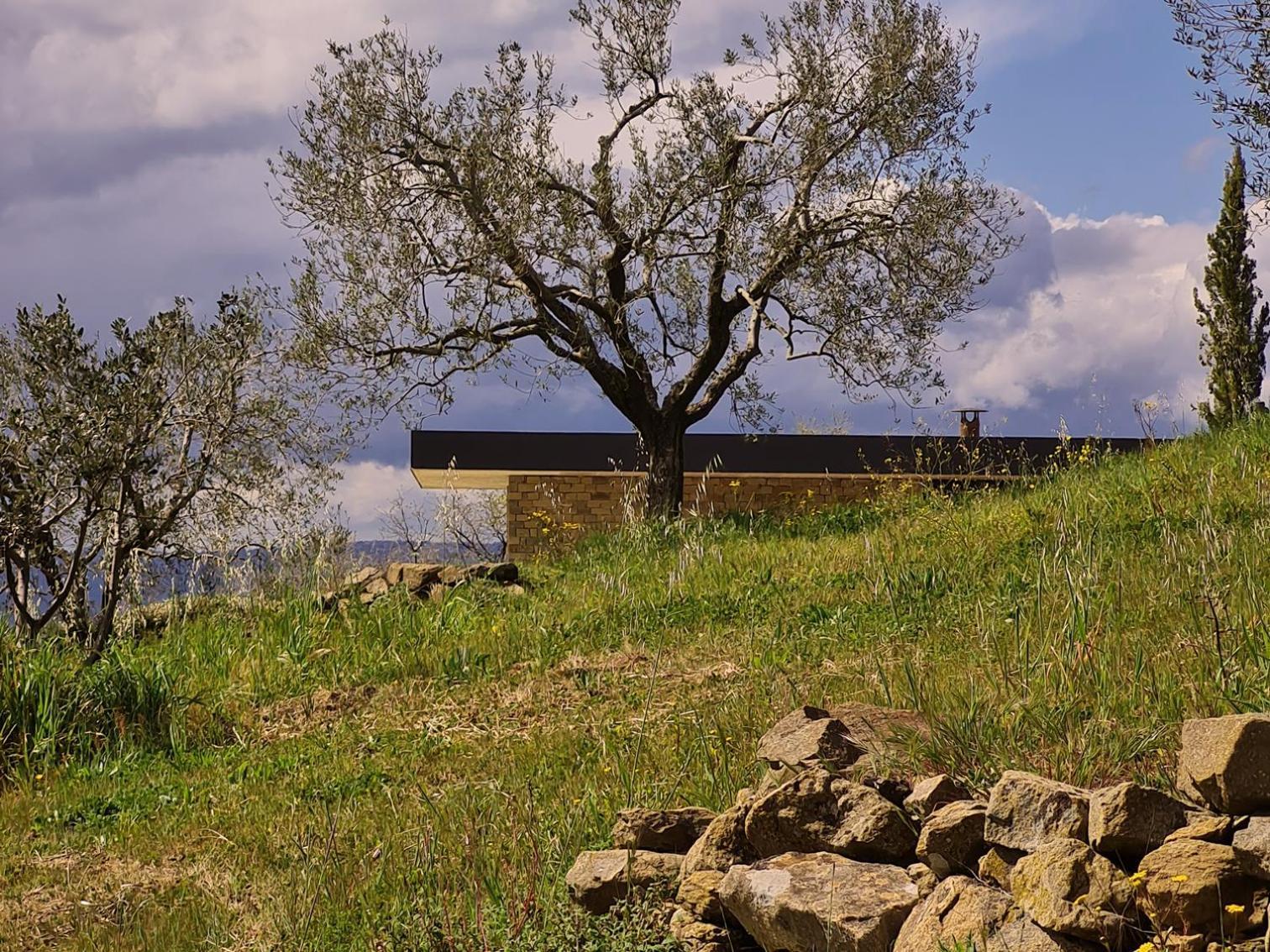 Bed and Breakfast Poggio Cagnano Manciano Esterno foto